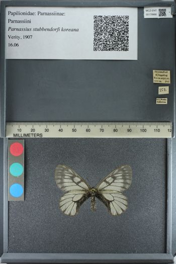 Media type: image;   Entomology 179966